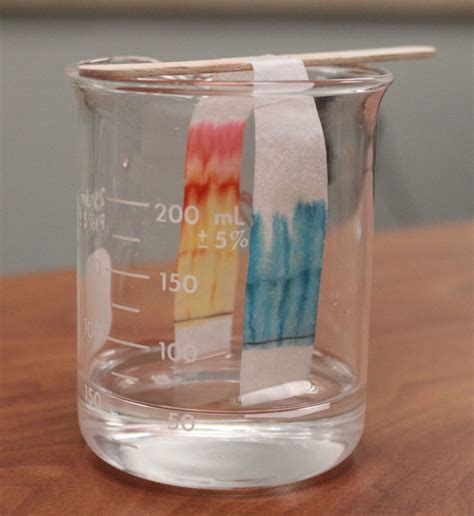 Exploring Pigments With Paper Chromatography
