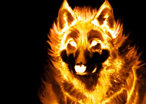 Flame Dog Survivor Dogs Wiki Fandom Powered By Wikia