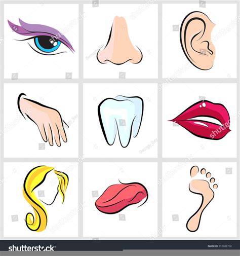 Clipart Mouth Nose Eyes Free Images At Vector Clip Art