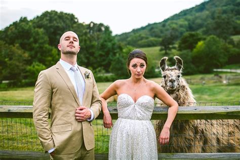 Bear photobombs couple's wedding pictures in gatlinburg, tennessee white tells sf gate the photo session was underway when they heard a rustling in the bushes. Some of the best wedding photobombs you'll ever see