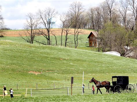 Once you register, you will become amazed at the amount of people that have already discovered this fantastic world that brought them. Measles Hits Amish Communities, And U.S. Cases Reach 20 ...