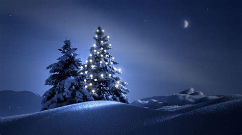 Christmas Nature 1920x1080 Wallpapers Wallpaper Cave