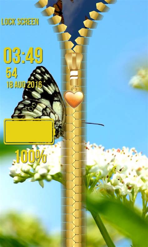 Butterfly Zipper Lock Screen