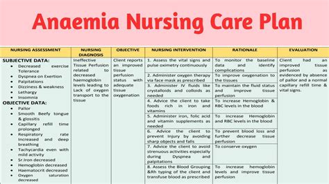 Ncp 5 Nursing Care Plan On Anemia Youtube
