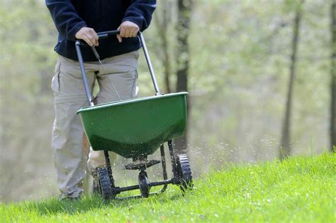 How Often Should Lawn Fertilizer Be Applied