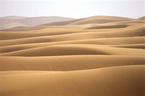 Sand Dunes Dune Field Sahara Desert Earthsky