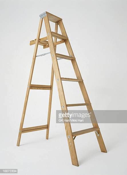 Growth Ladders Fotografías E Imágenes De Stock Getty Images