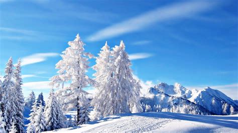 Download Winter Hd Wallpaper 1080p By Sarahpatel 1080p Winter
