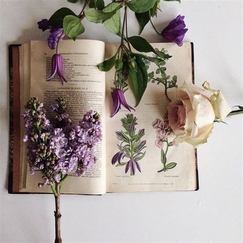 High resolution image with coffee and flower. Books and Cupcakes: Day 6 - Flowers and Books - Geeks and ...