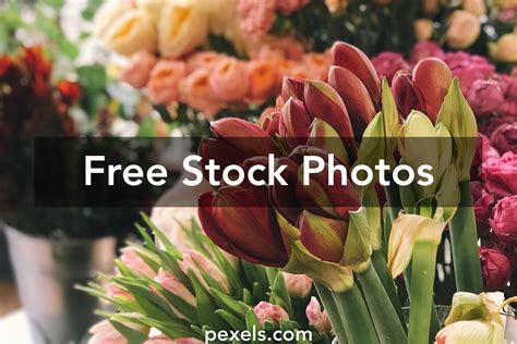 100000 Best Flower Shop Photos · 100 Free Download · Pexels Stock Photos