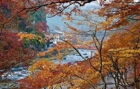 Autumn in Japan: The Colorful Town of Asuke - Go Backpacking