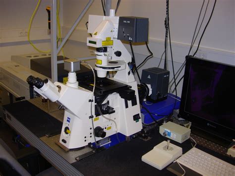Zeiss Confocal Microscopy