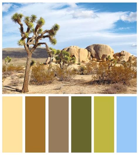 Desert Color из архива большой выбор 1920×1080 фото