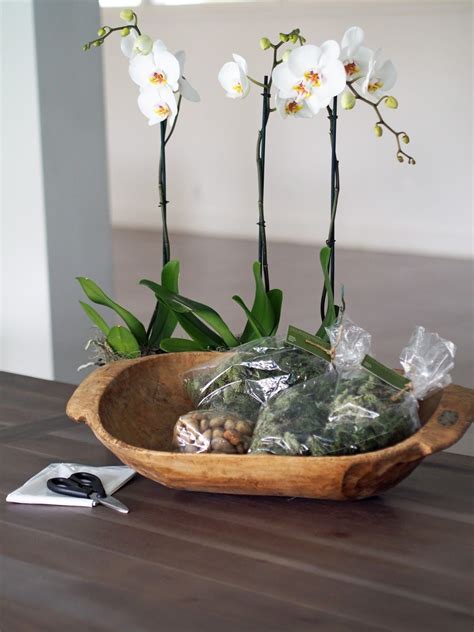 How To Potted Orchids Displayed In A Dough Bowl Orchid Arrangements