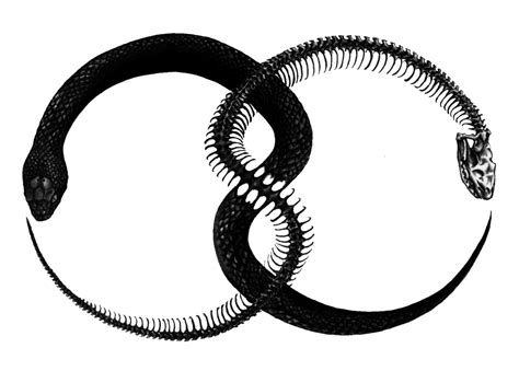 Ouroboros Snake Tattoo Symbol Alchemy - snake png download ...