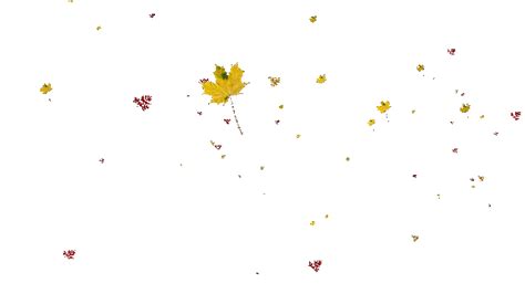 Блог Колибри Animated Falling Leaves Background 