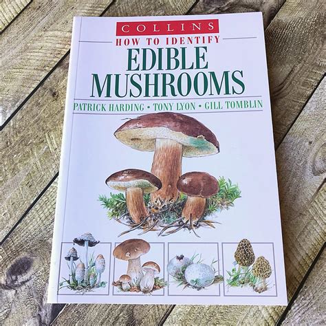 Mushrooms And Fungi Book Vintage Collins Guide How To Identify Edible