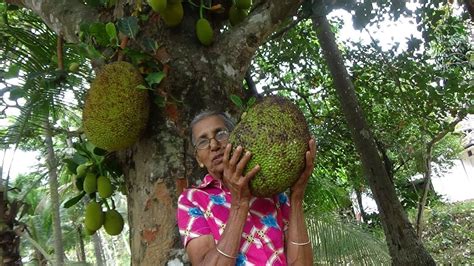 Amazing Jackfruit Cutting And Cooking By Grandma In My Village Youtube