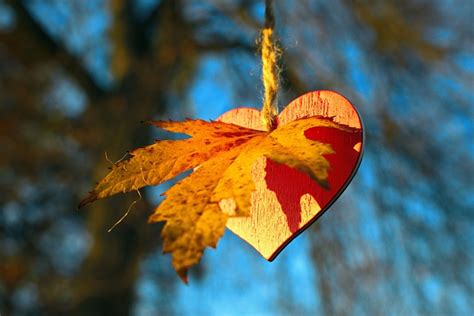 I Love Autumn Leaves Free Photo On Pixabay Pixabay