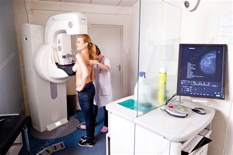 Mammography Stock Image C0329409 Science Photo Library