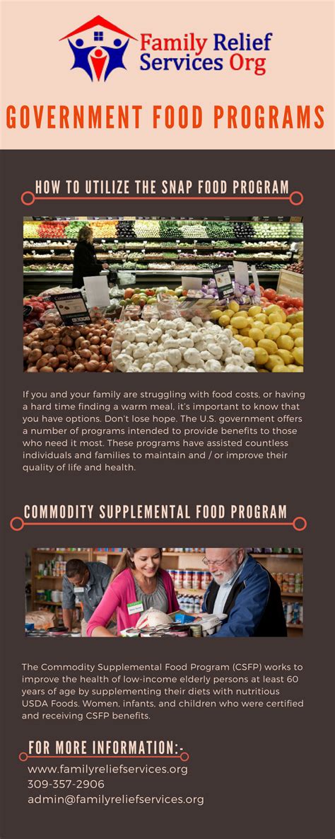 Government Food Programs Supplemental Nutrition Assistance Programs