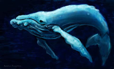 Hello Mr Humpback By Nebester On Deviantart