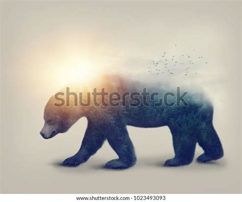Double Exposure Bear Forest Stock Photo Edit Now 1023493093
