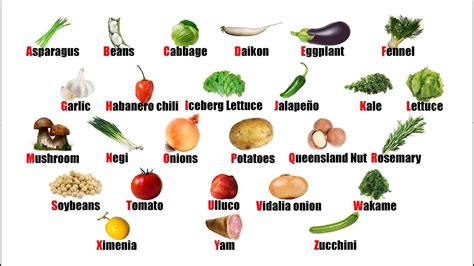 Alphabetical List Of Vegetables