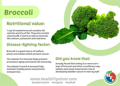 Nutritional Value Of Broccoli Health Tips Ever Magazine