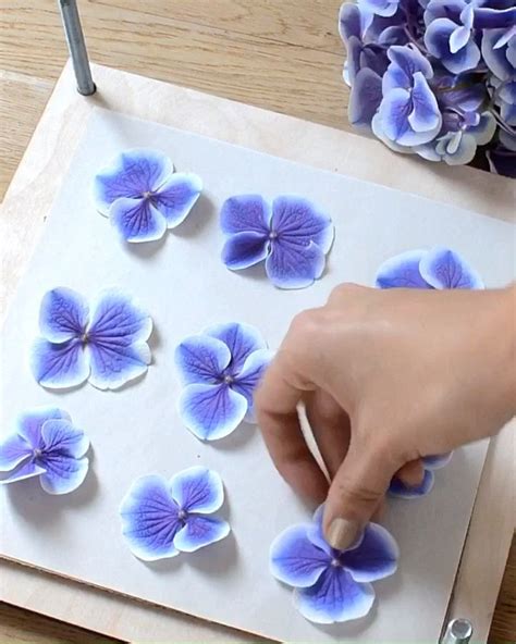 How To Press Flowers Video Pressed Flower Crafts Pressed Flower