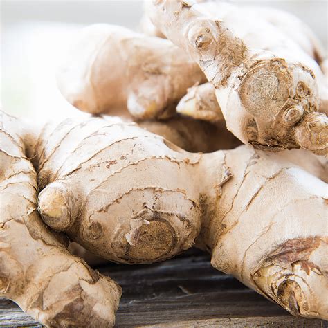 Zingiber Officinale Ginger Root Extract Herbacin