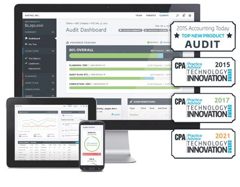Auditing Software