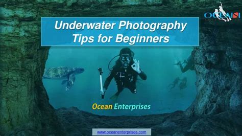 Ppt 3 Tips For Underwater Photography For Beginners Ocean