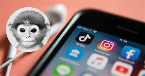 You will see people participating in challenges and making videos. The Monkey PFP on TikTok Is Something You Want to Avoid at ...