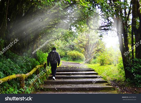 Behind Man Walking Alone Forest Sun Stock Photo 696370810 Shutterstock