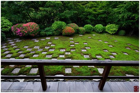 Tofuku Ji Temple Moss Garden Terrace With Blooming Rhododendrons