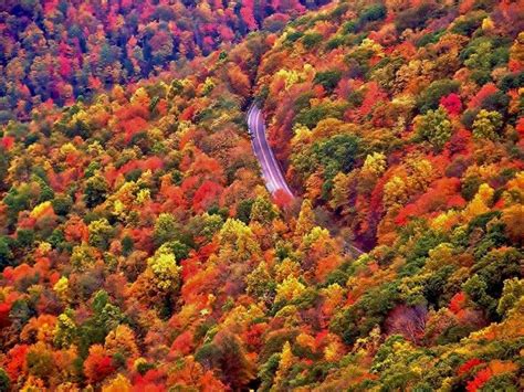 West virginia is one of the most beautiful states to visit and i've chosen 4 awesome road trips for you to explore our gorgeous mountain state. Pin on Places I'd Like to Go