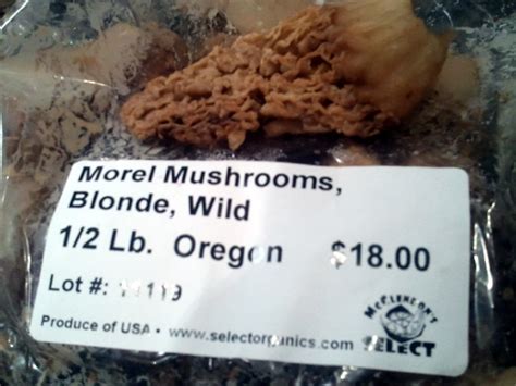 Ever tried grating your zucchini? Rib Eyes and Morel Mushrooms: The BBQ Chronicles: BBQ Island