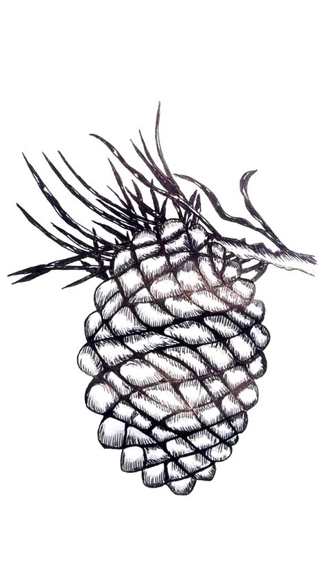 Easy Pine Cone Drawing How To Draw Step By Step Pine Cone Drawing Winter Drawings Drawings