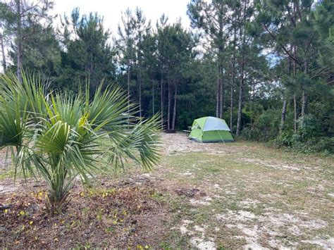 Camping At Gulf State Park All The Way Alanna