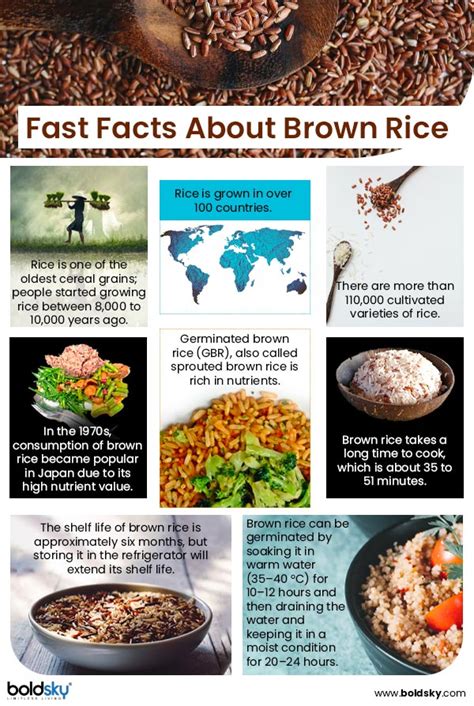 Brown Rice Nutrition Health Benefits And Recipes