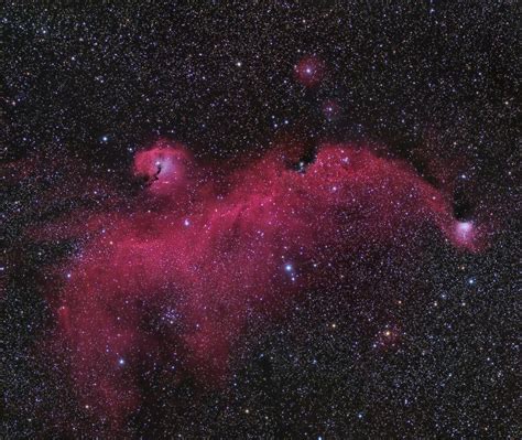 Seagull Nebula Astrodoc Astrophotography By Ron Brecher