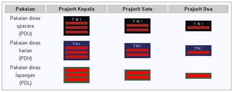 Lambang Pangkat TNI AU Dan Urutan Pangkatnya Info Panduan Trik