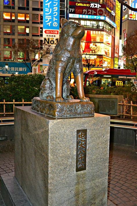 Hachikō Statue At Shibuya Station Tokyo Famous Dogs Statue Dog Movies