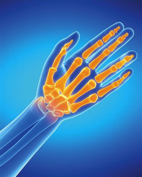 Peripheral Neuropathy Chiropractor Hilton Head Fraum Center For