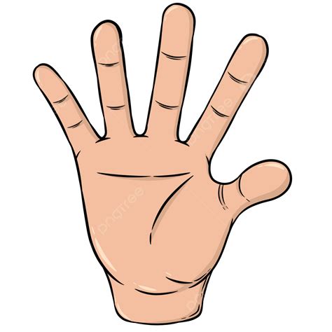 Hand Palms Hand Palm Human Hand Png Transparent Clipart Image And