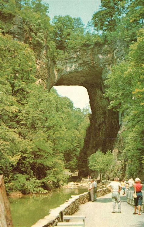 Vintage Postcard Natural Bridge One Of The Seven Natural Wonders
