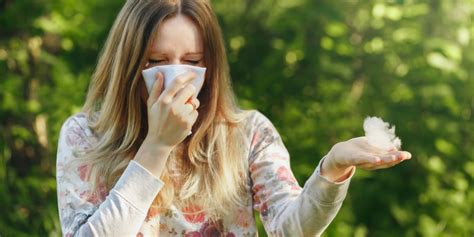 Spring Allergy What Are The Triggers Bernstein Clinic