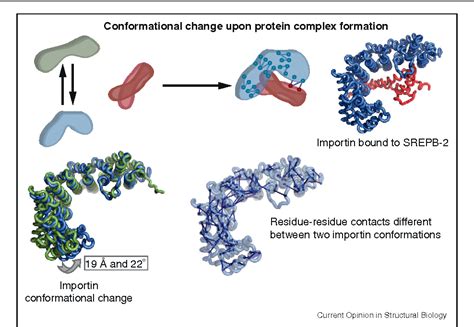 Figure 3 From Evolution Of Protein Structures And Interactions From The