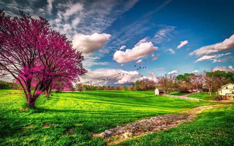 Pin By Soul On Amazing Beauty Spring Wallpaper Landscape Wallpaper